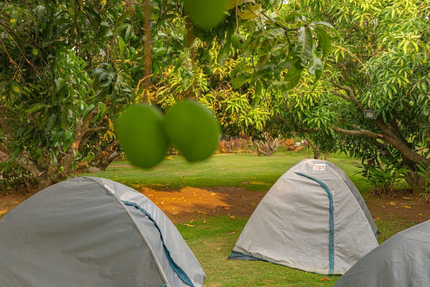 Q Mango Resort Ramanagara Exterior photo